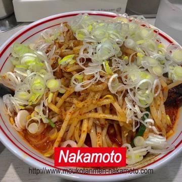 北極の炎 5倍