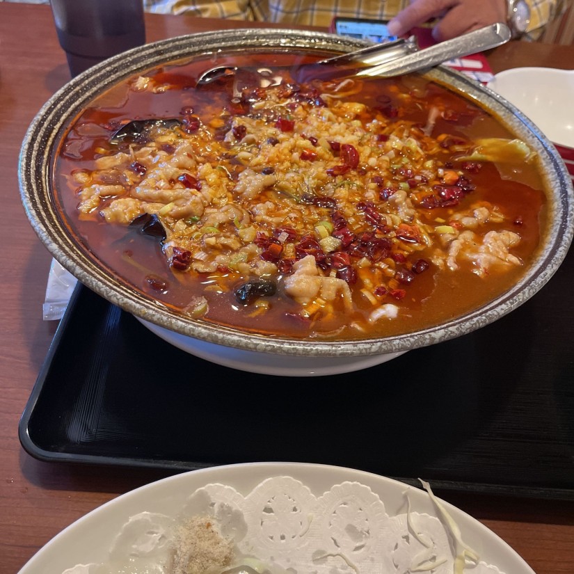 豚肉の四川風煮込み