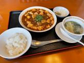 麻婆豆腐＋半ライス