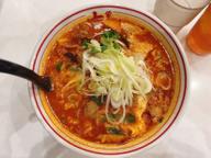 北極の春 辛さ10