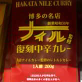ナイル監修復刻中辛カレー