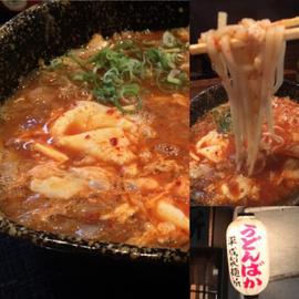 赤かすうどん