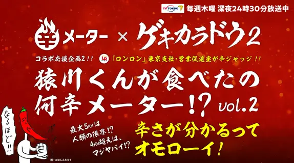 前回までのゲキカラドウ
