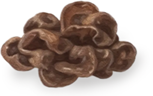 永谷園 麻婆春雨 辛口の具材 きくらげ