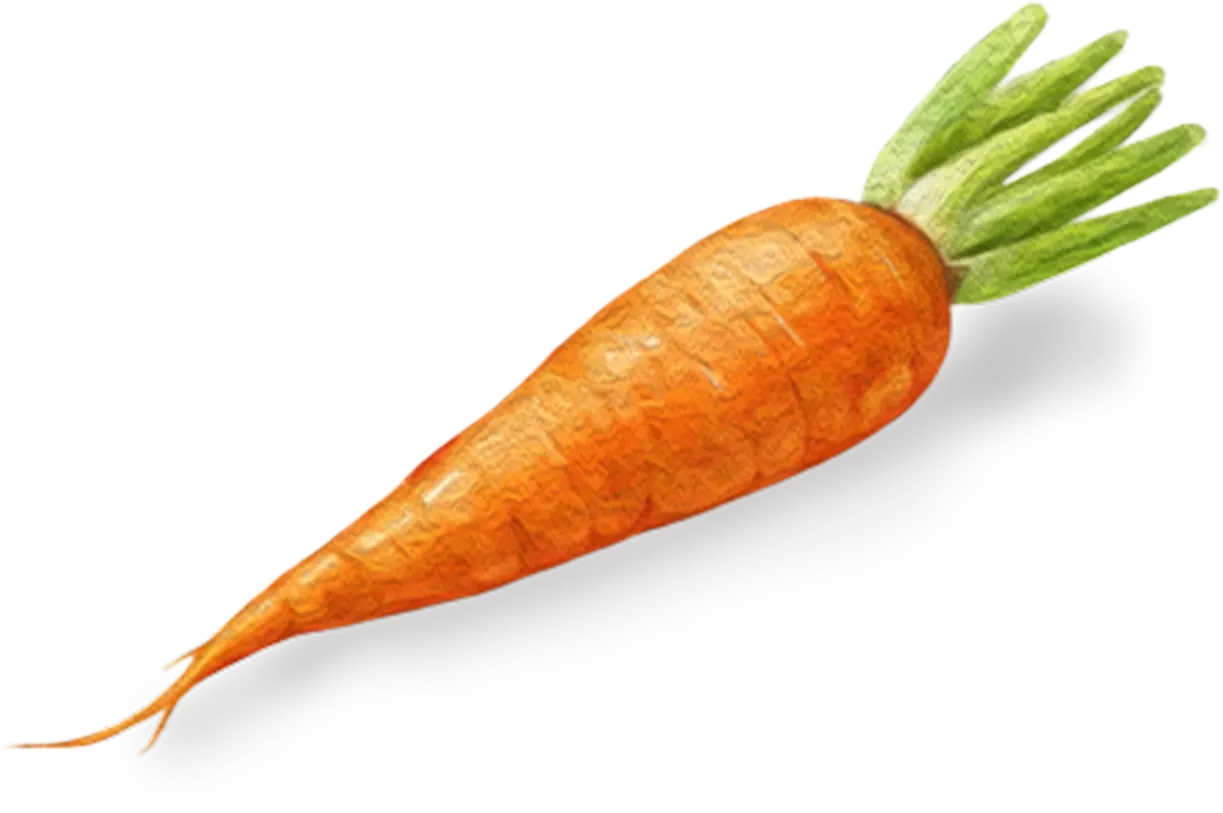 永谷園 麻婆春雨 辛口の具材 にんじん